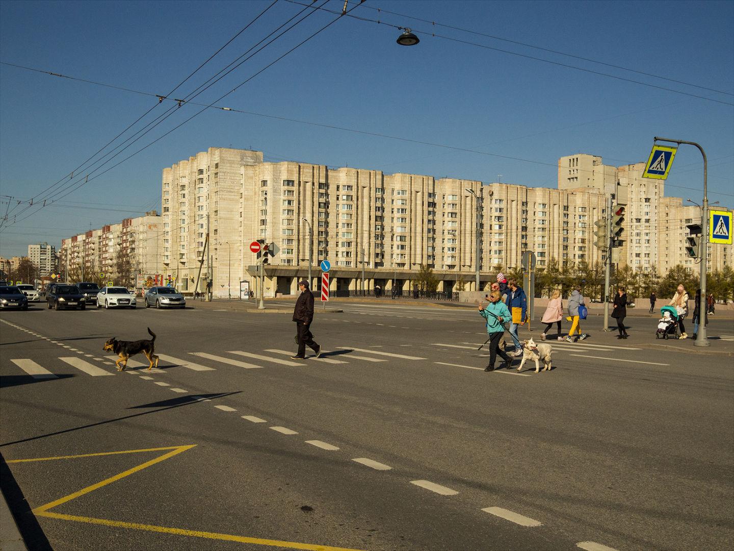 I'M THANKFUL FOR TODAY | Санкт-Петербург | Saint Petersburg, 2020.