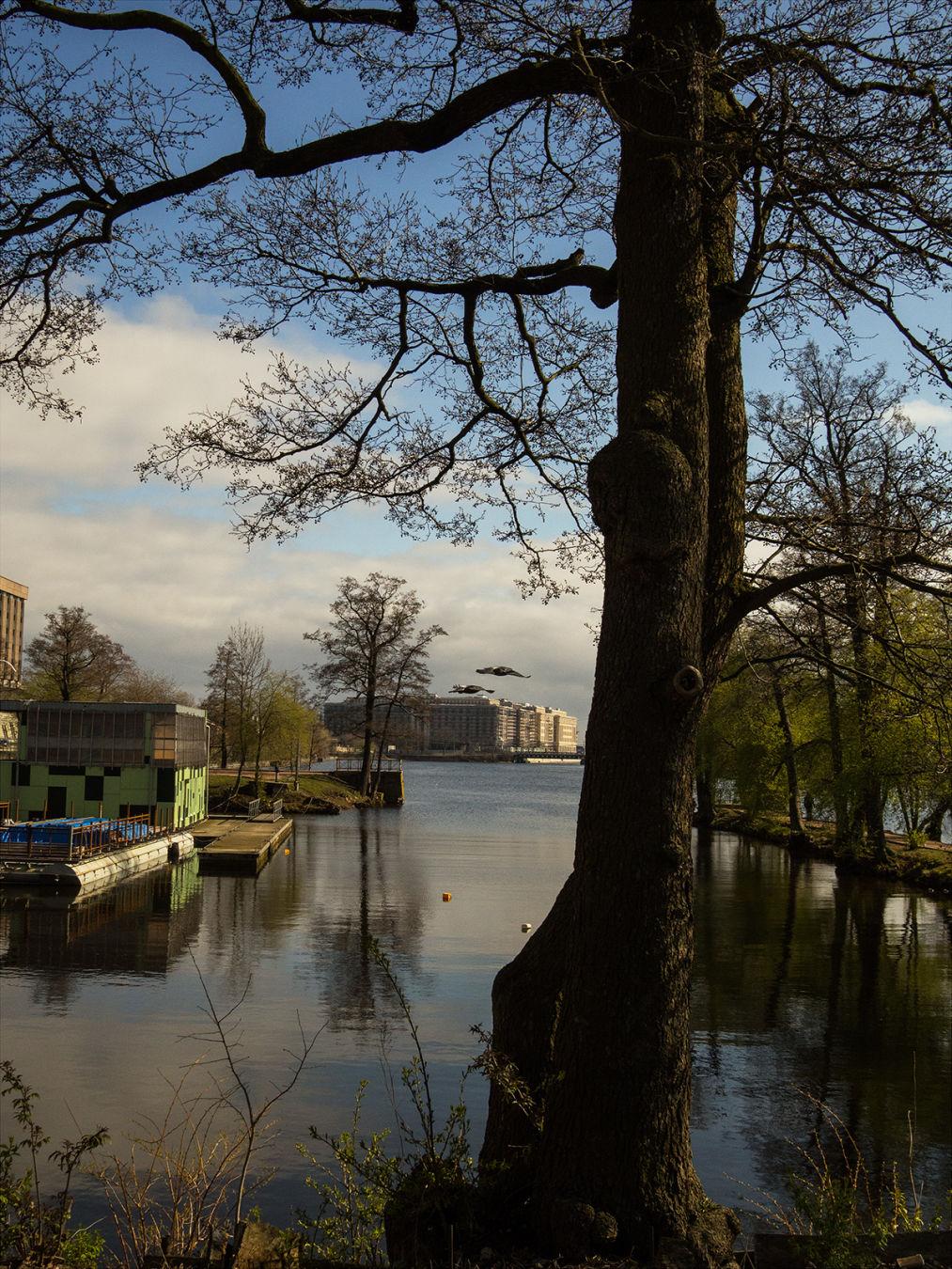 I'M THANKFUL FOR TODAY | Санкт-Петербург | Saint Petersburg, 2020.