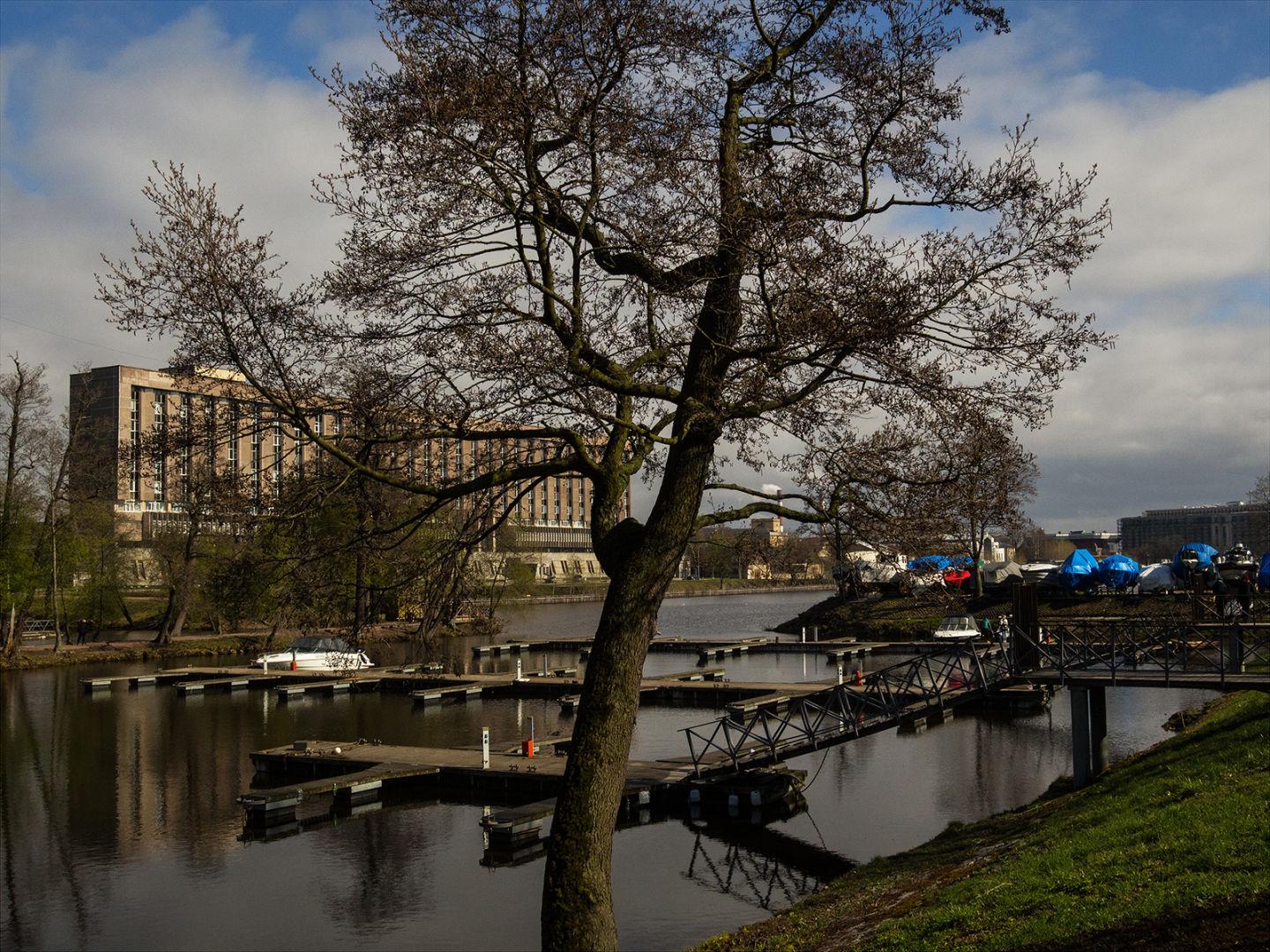 I'M THANKFUL FOR TODAY | Санкт-Петербург | Saint Petersburg, 2020.