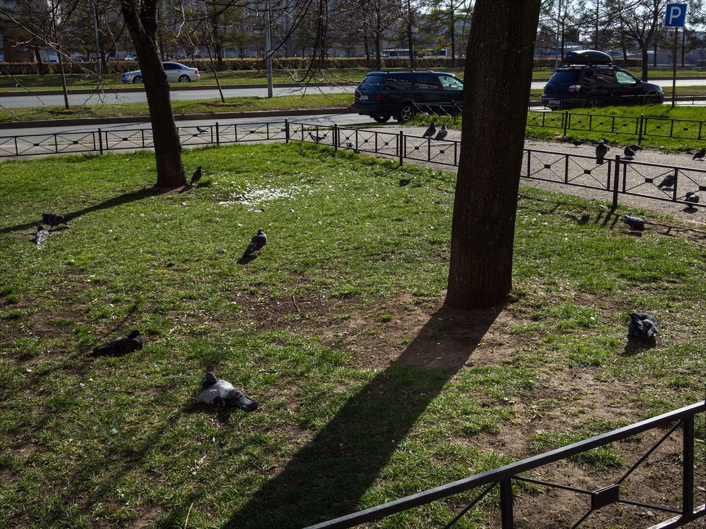 I'M THANKFUL FOR TODAY | Санкт-Петербург | Saint Petersburg, 2020.