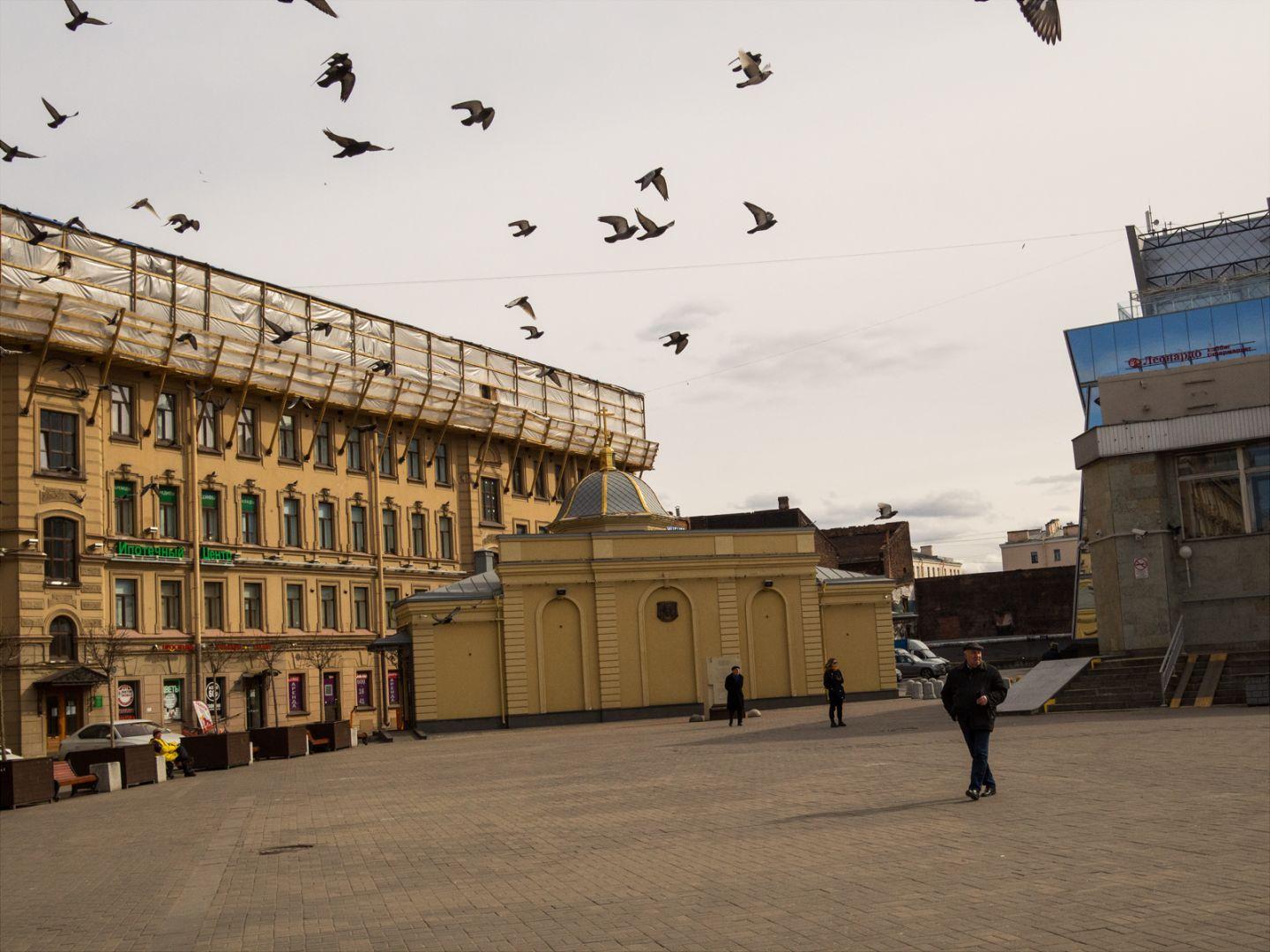 I'M THANKFUL FOR TODAY | Санкт-Петербург | Saint Petersburg, 2020.