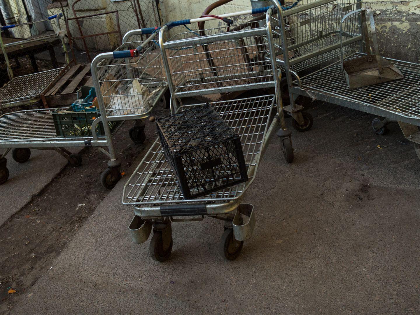 I'M THANKFUL FOR TODAY | Санкт-Петербург | Saint Petersburg, 2020.