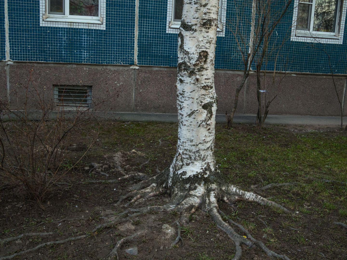 I'M THANKFUL FOR TODAY | Санкт-Петербург | Saint Petersburg, 2020.