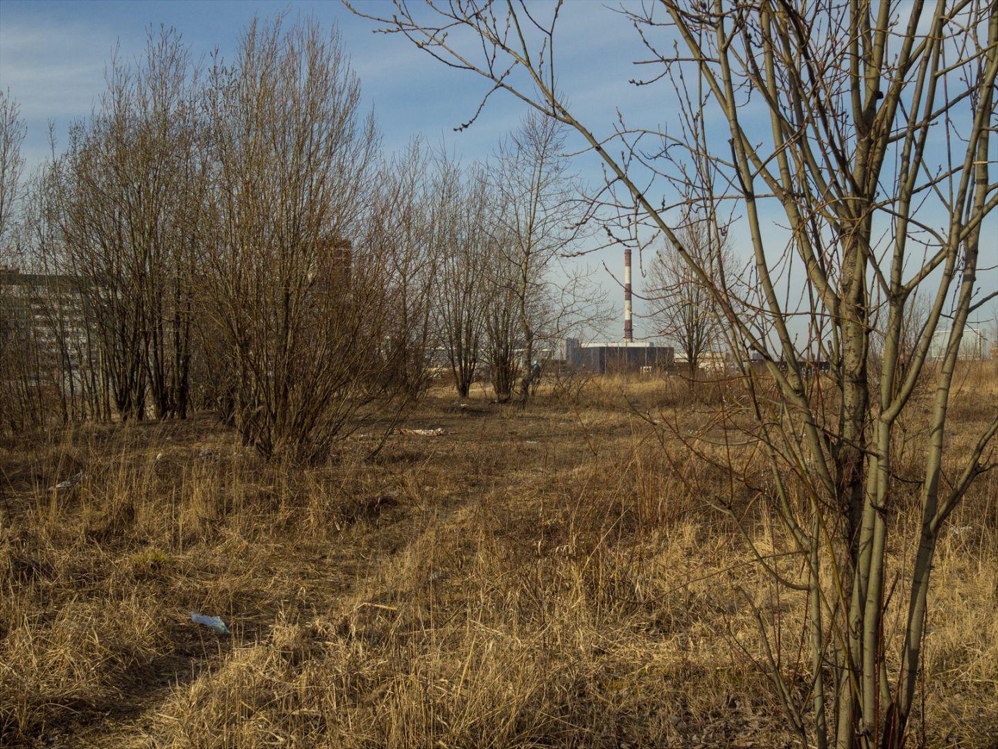 I'M THANKFUL FOR TODAY | Санкт-Петербург | Saint Petersburg, 2020.