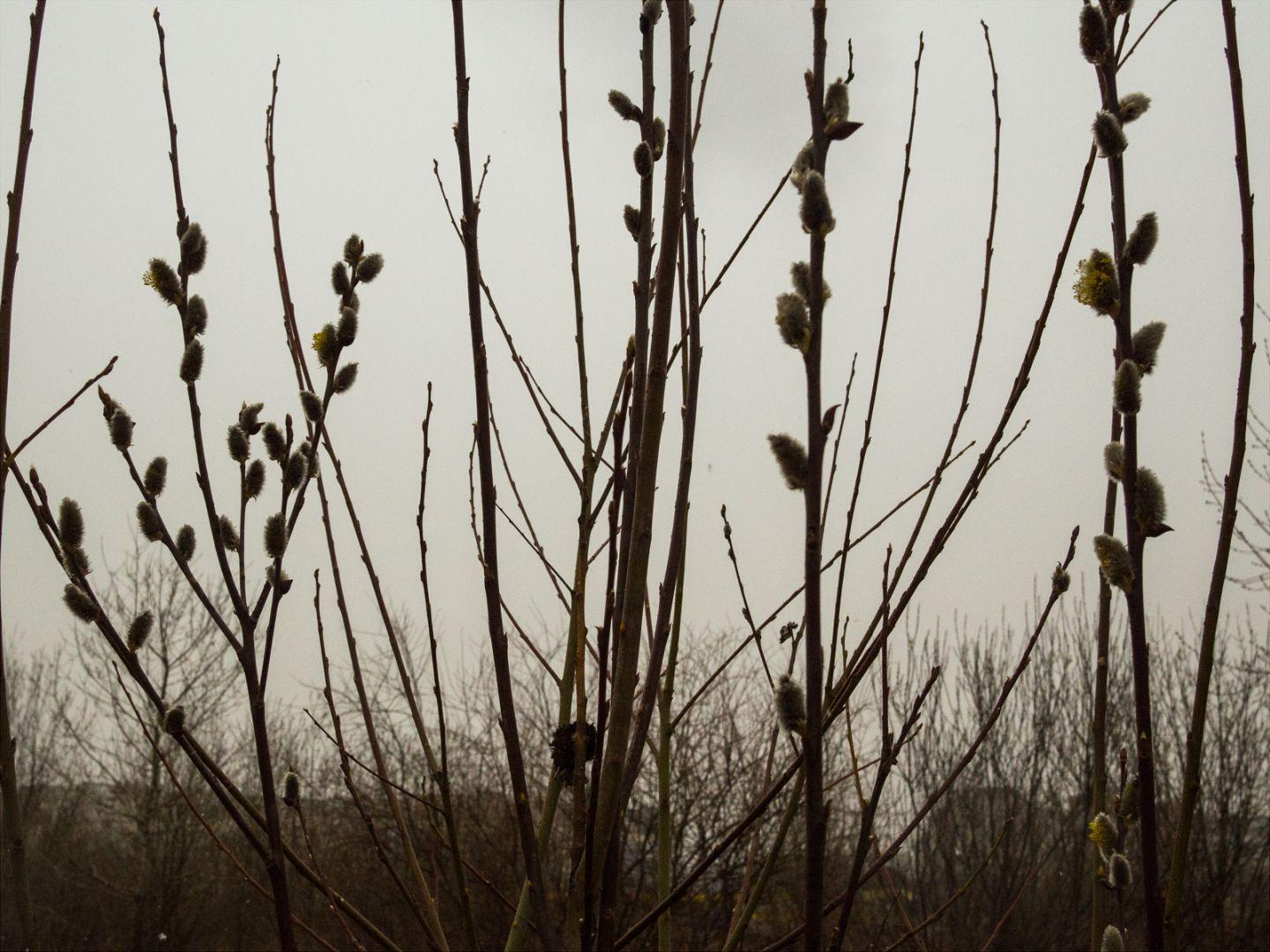 I'M THANKFUL FOR TODAY | Санкт-Петербург | Saint Petersburg, 2020.