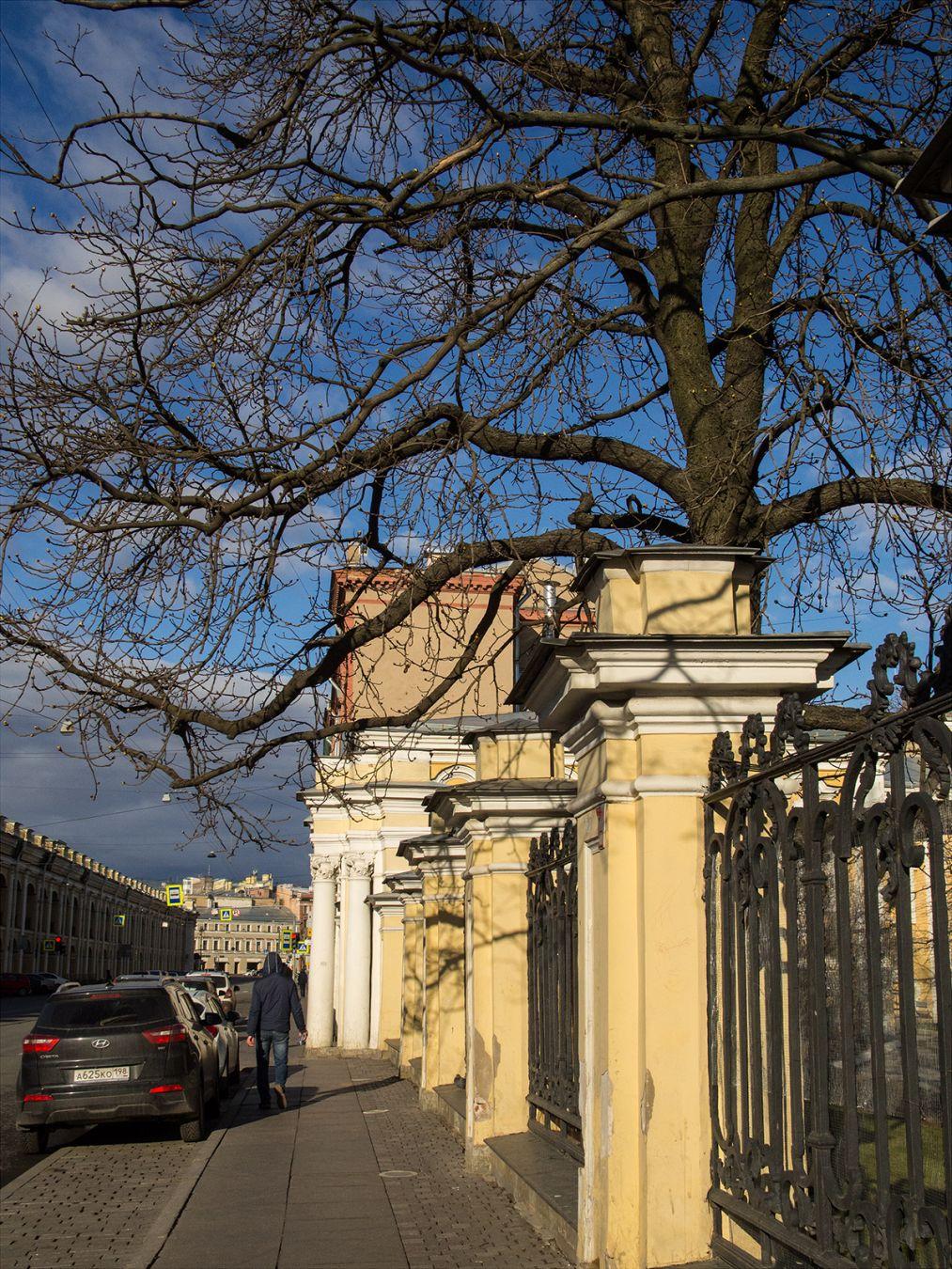 I'M THANKFUL FOR TODAY | Санкт-Петербург | Saint Petersburg, 2020.