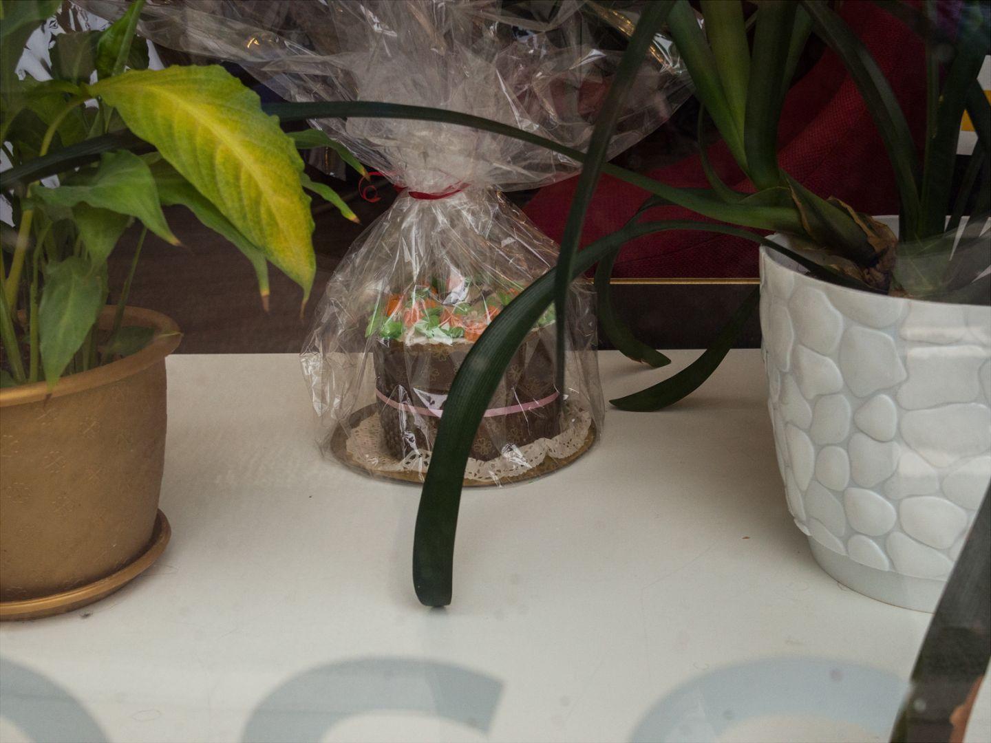 I'M THANKFUL FOR TODAY | Санкт-Петербург | Saint Petersburg, 2020.