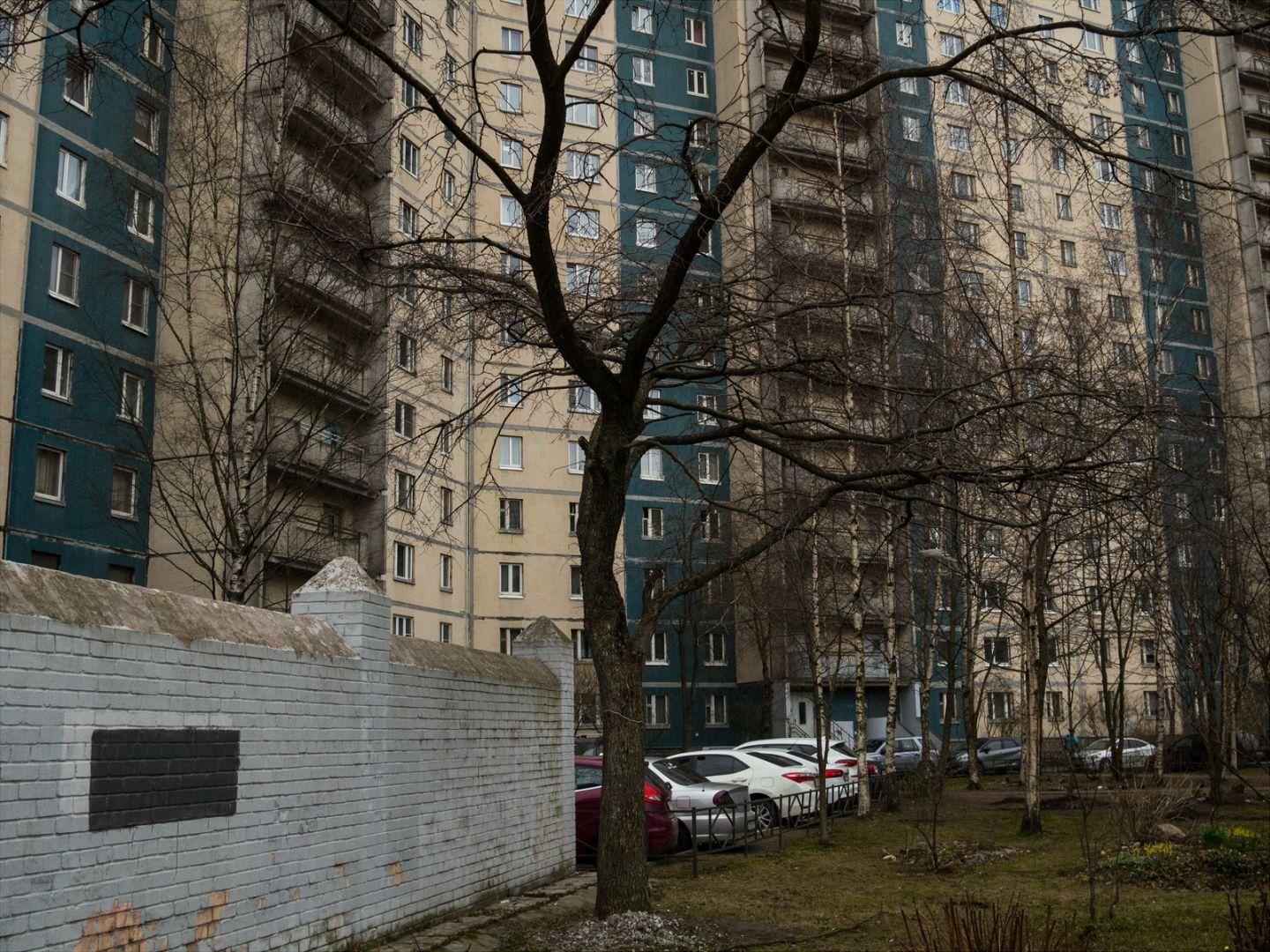 I'M THANKFUL FOR TODAY | Санкт-Петербург | Saint Petersburg, 2020.