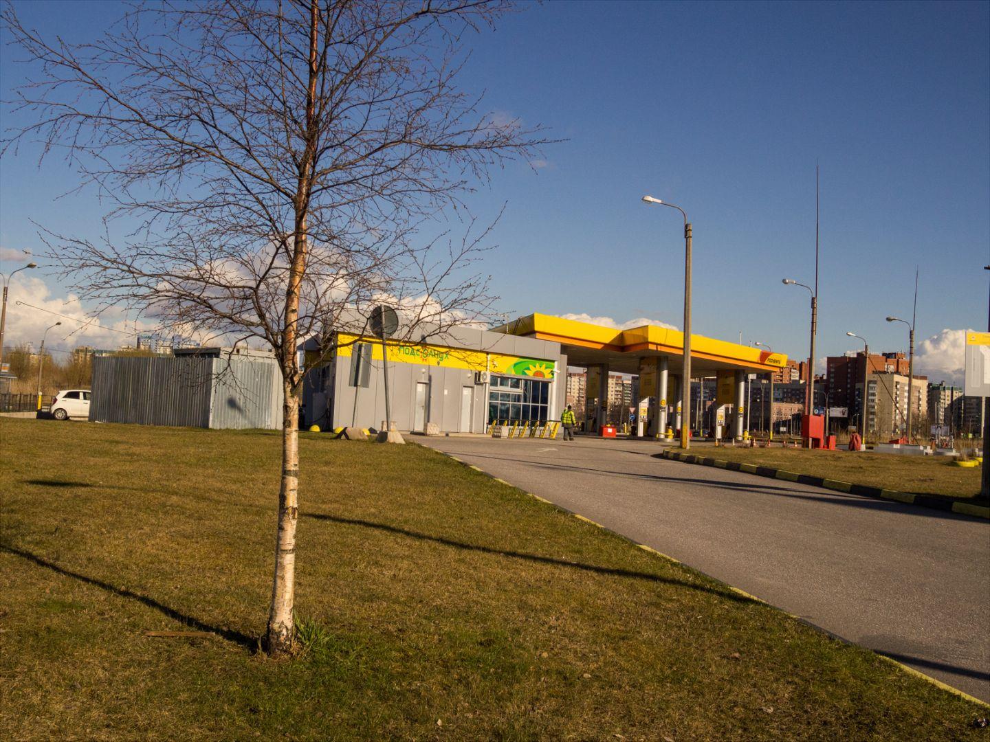 I'M THANKFUL FOR TODAY | Санкт-Петербург | Saint Petersburg, 2020.