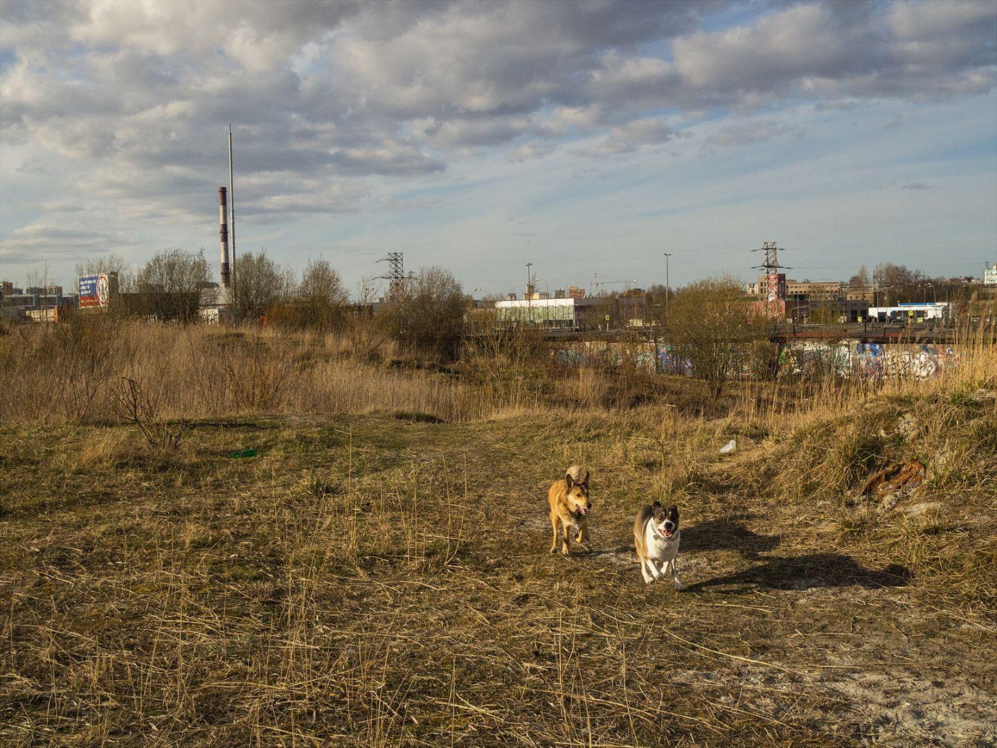 I'M THANKFUL FOR TODAY | Санкт-Петербург | Saint Petersburg, 2020.