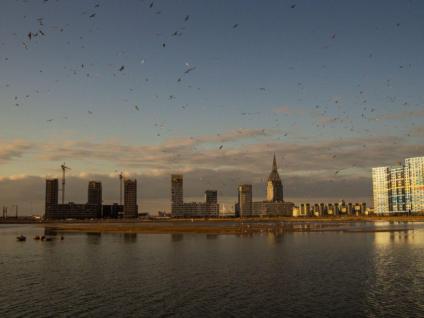 I'M THANKFUL FOR TODAY | Санкт-Петербург | Saint Petersburg, 2020.