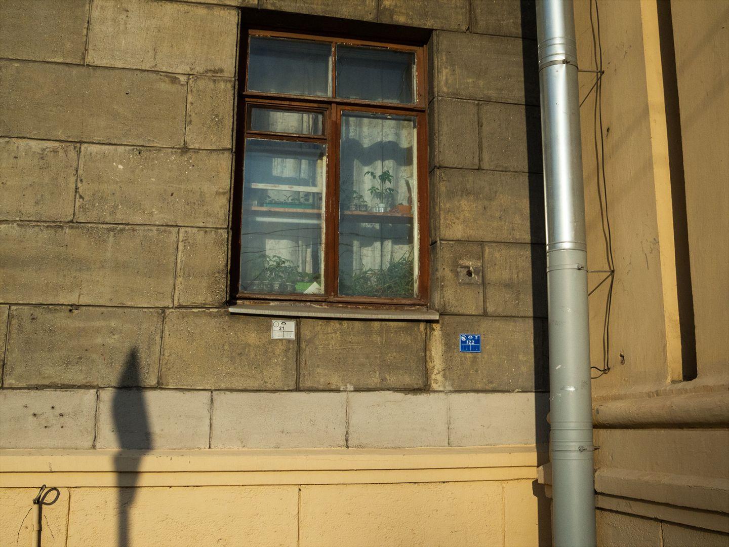 I'M THANKFUL FOR TODAY | Санкт-Петербург | Saint Petersburg, 2020.